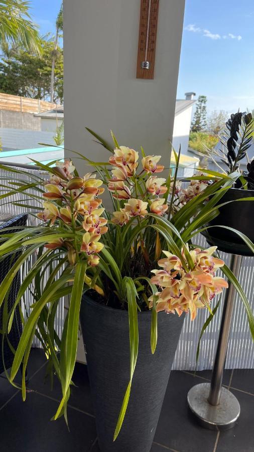 Plumeria Holidays Сен-Пиер Екстериор снимка